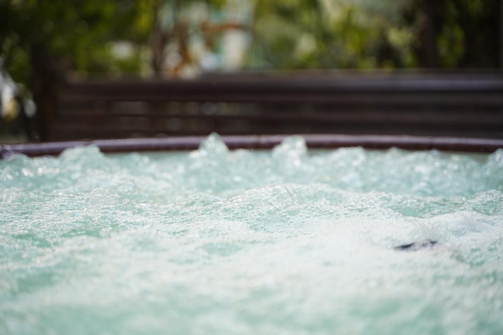 6.Six bedrooms vila, Rehavia  pool image #9